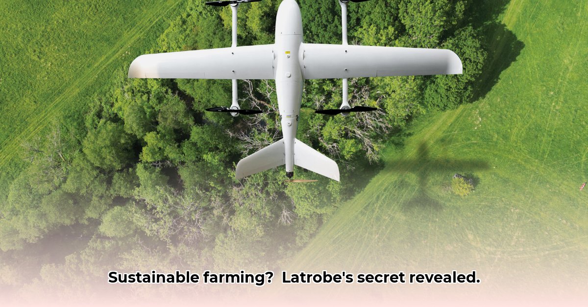 latrobe-tractor-supply